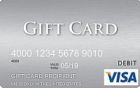 Visa Gift Card